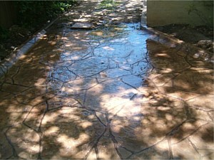 Stamped Concrete